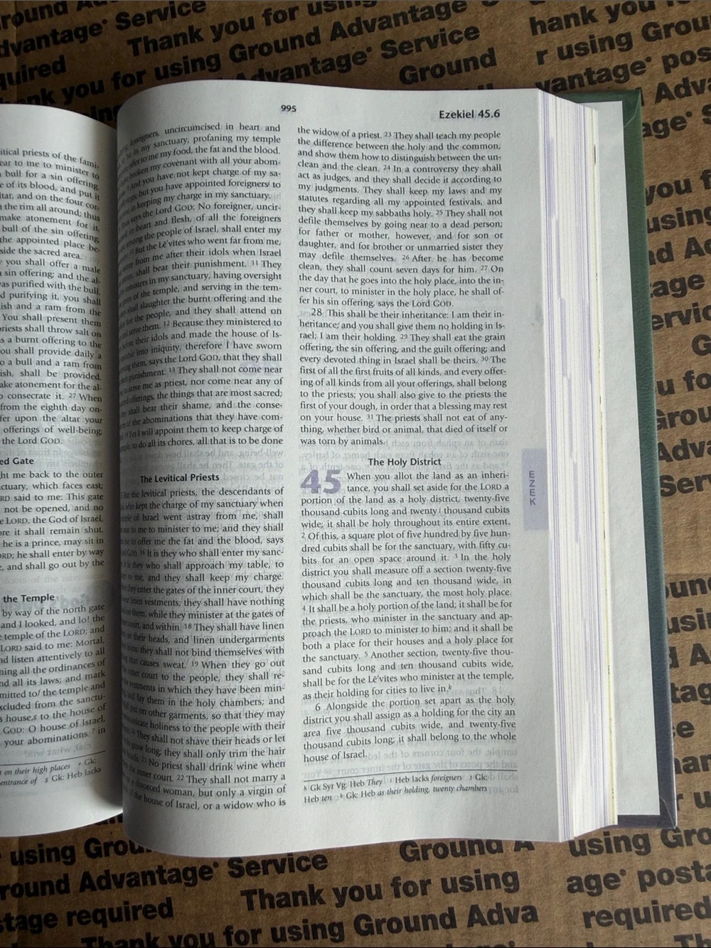 The Catholic Youth Bible - Multicolor Edition